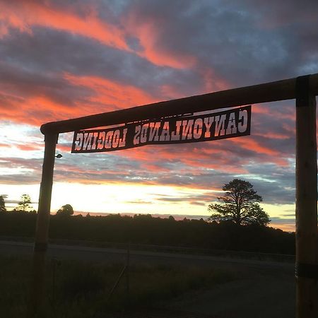 Bluebell Cabin, Glamour Cabin Camping, Stunning Night Sky Монтичелло Экстерьер фото